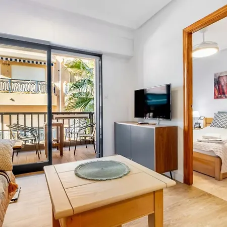 公寓 098 Acogedor Con El Balcon Y Wifi 托雷维耶哈